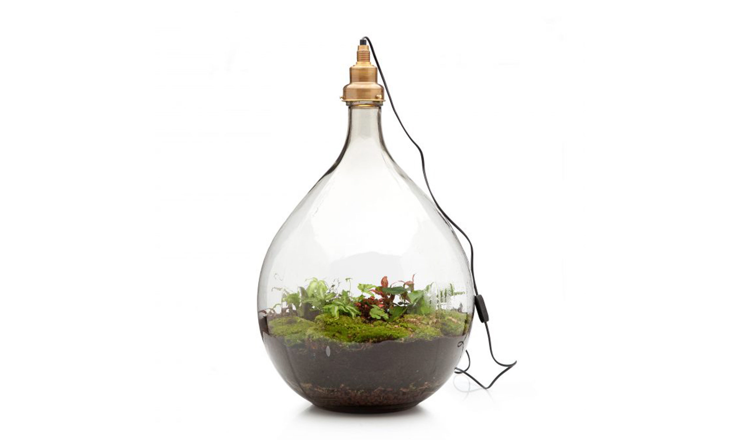 BIG BROTHER - Living ecosystem
